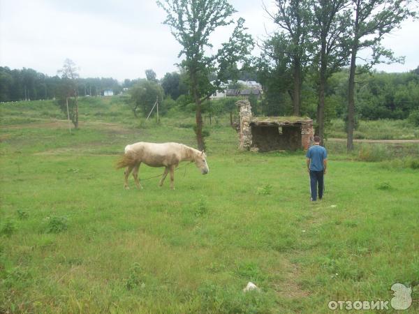 Усадьба барона Фон Дервиза, село Кирицы, Рязанская обл фото