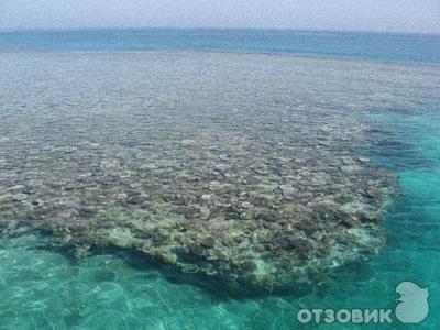 Красное море (Египет) фото