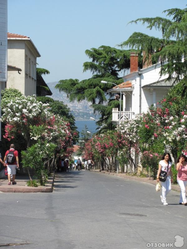 Принцевы острова в стамбуле фото