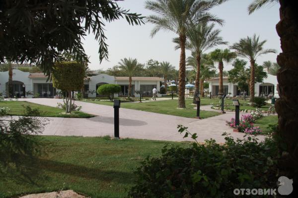 Отель Hilton Sharm Dreams Resort 5*