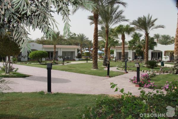 Отель Hilton Sharm Dreams Resort 5*