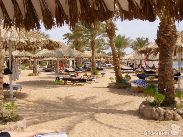 Отель Hilton Sharm Dreams Resort 5*