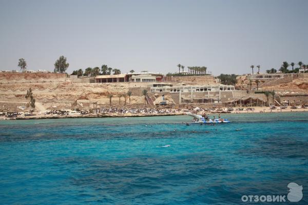 Отель Beach Albatros Sharm 4* (Египет, Шарм-аль-Шейх) фото