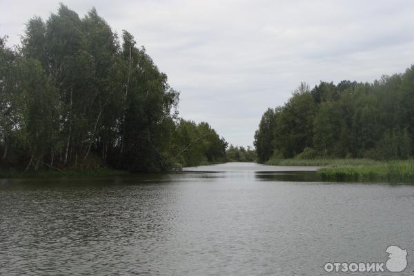 Шалаховское водохранилище фото