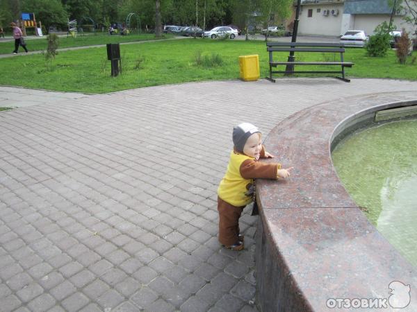 Мельница (Россия, Химки) фото