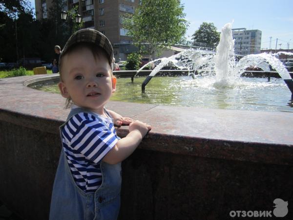 Мельница (Россия, Химки) фото