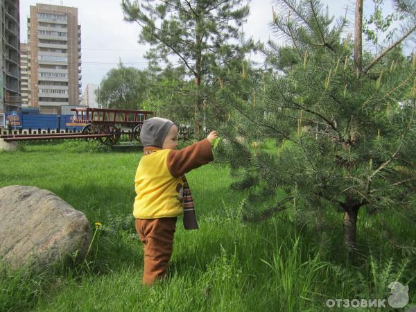 Мельница (Россия, Химки) фото