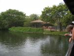 Крокодиловая ферма и сад миллионолетних камней (Тайланд, Паттайя) фото