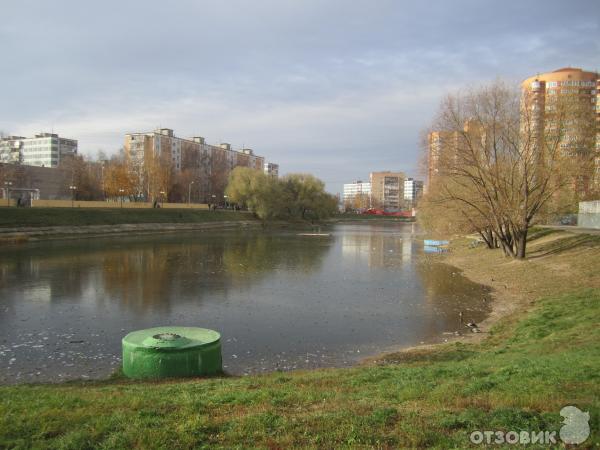 Московская область городской округ химки пляж