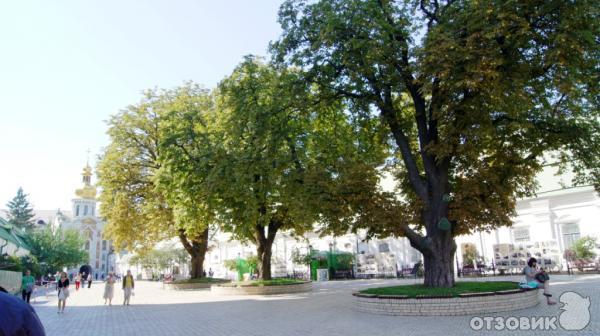 Киево-Печерская лавра (Украина, Киев) фото